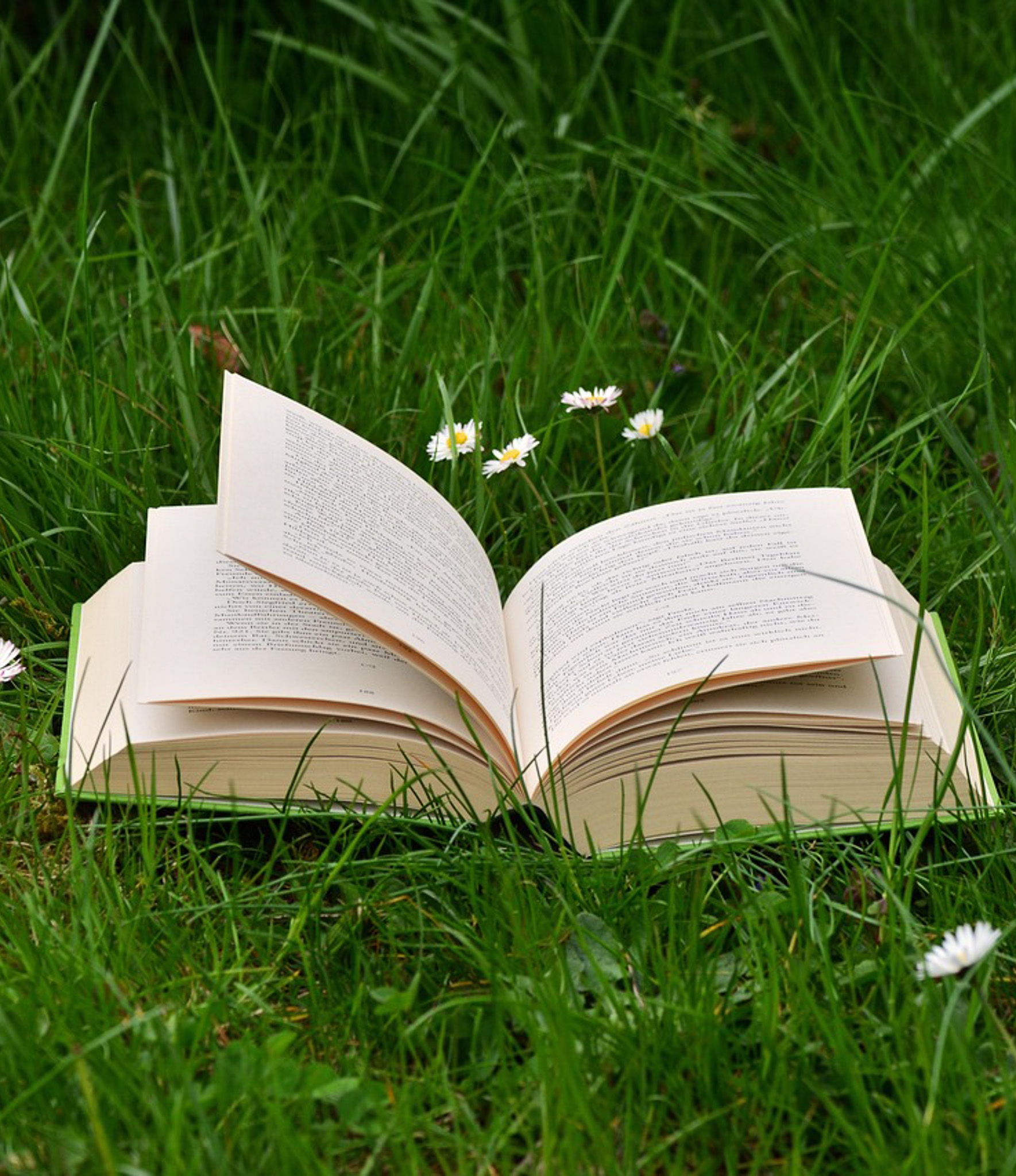 Laternenlauf Ellerbek