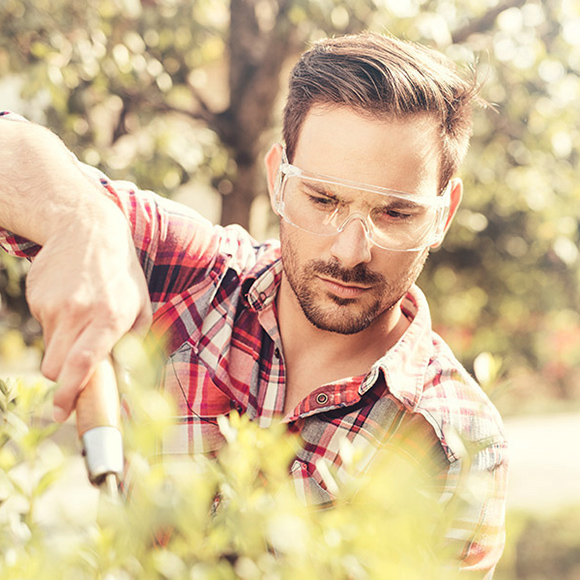 Schnittkurse im Lebensraum Garten