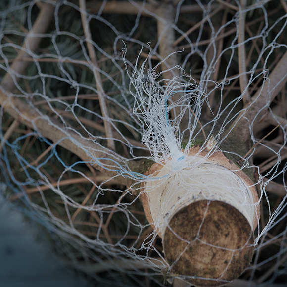 Weihnachtsbaumverkauf im Lebensraum Garten