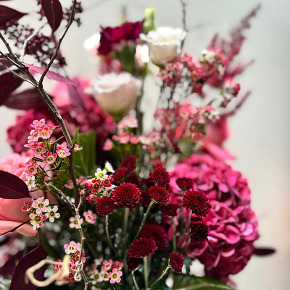 Weihnachten im Lebensraum Garten