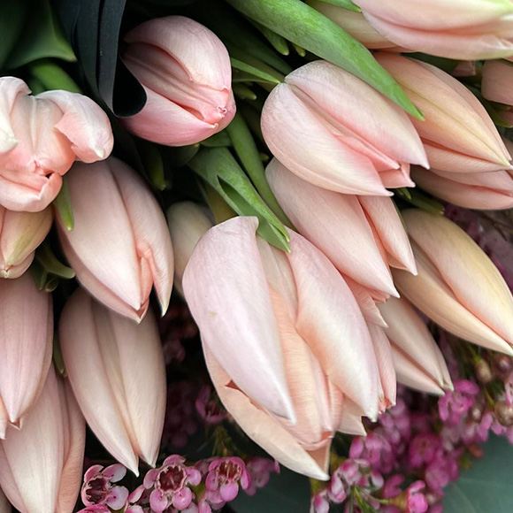 Floristik im Lebensraum Garten