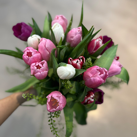 Floristik im Lebensraum Garten