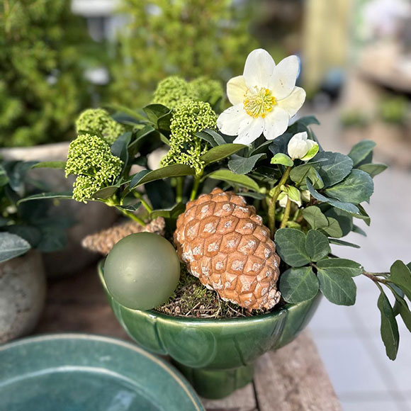 Weihnachtsdeko im Lebensraum Garten