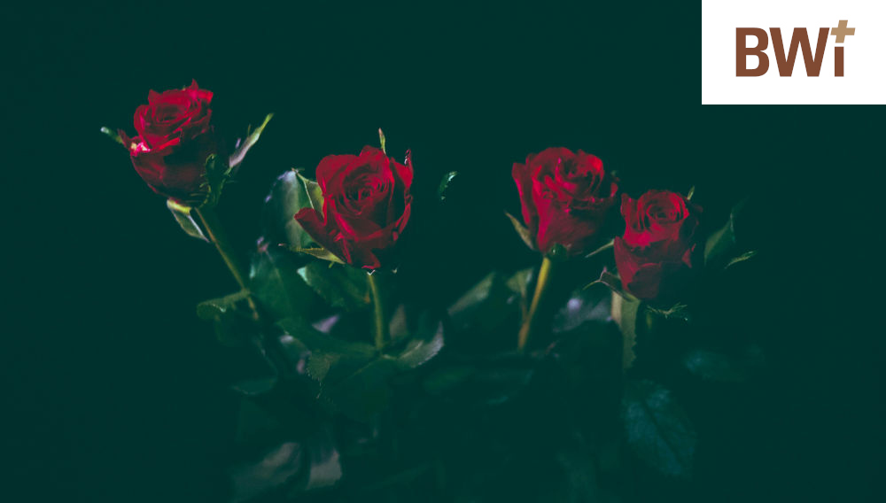 Red roses in a vase against a dark background (Photo: Jamie Street on Unsplash)