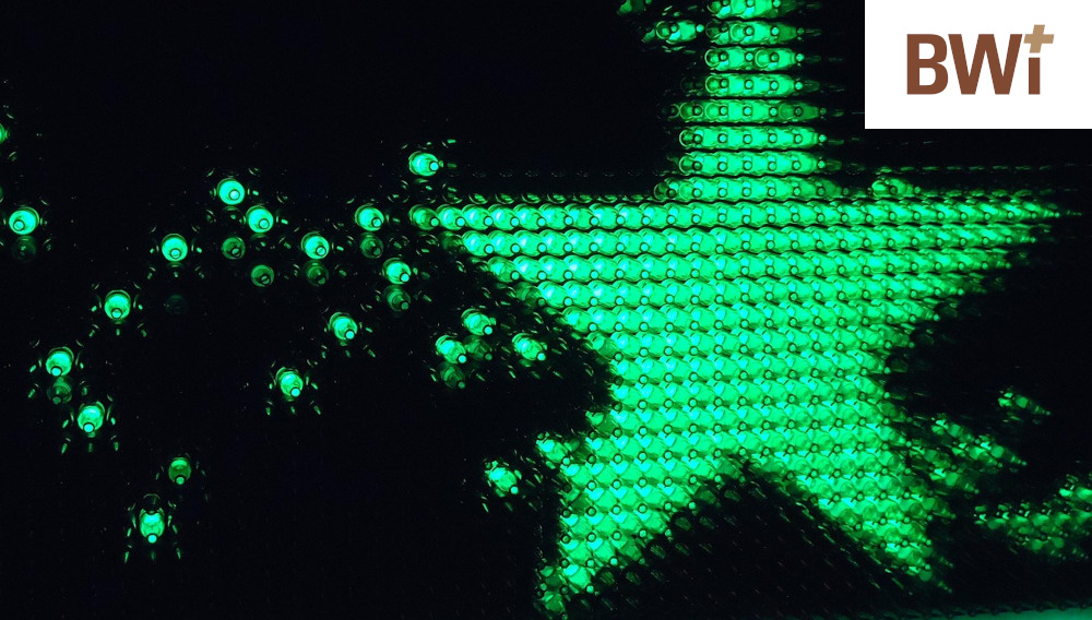 Green star of lights (Photo: Blickwinkler on Pixabay)