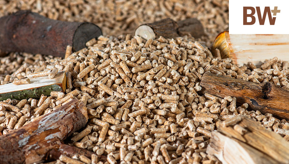 Biomasse basiert auf der Nutzung organischer Reststoffe wie Holz, um daraus Energie zu erzeugen (Foto: Willfried Wende auf Pixabay)