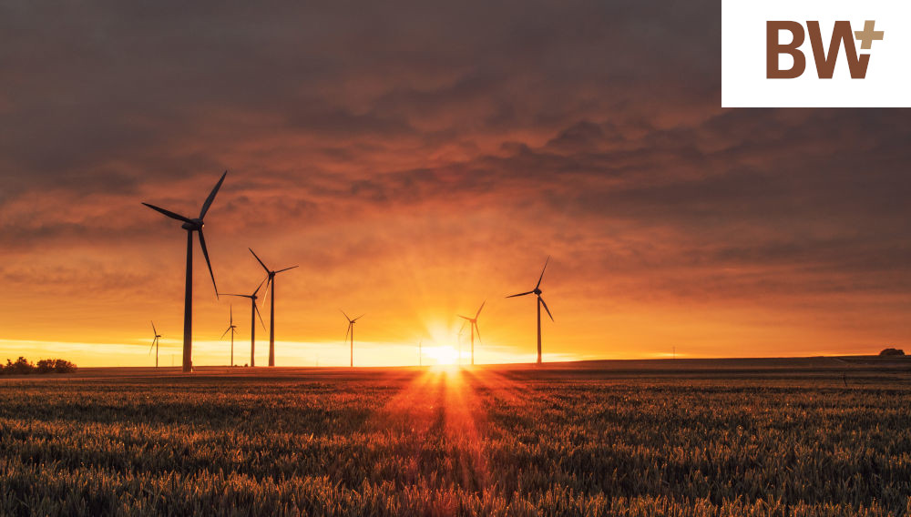 Windräder auf Feld vor Sonnenaufgang (Bild: Karsten Wurth auf Unsplash)