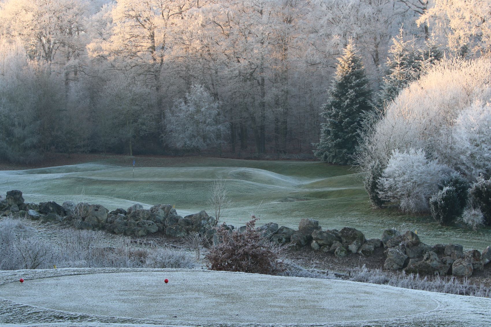 600 pixels wide image