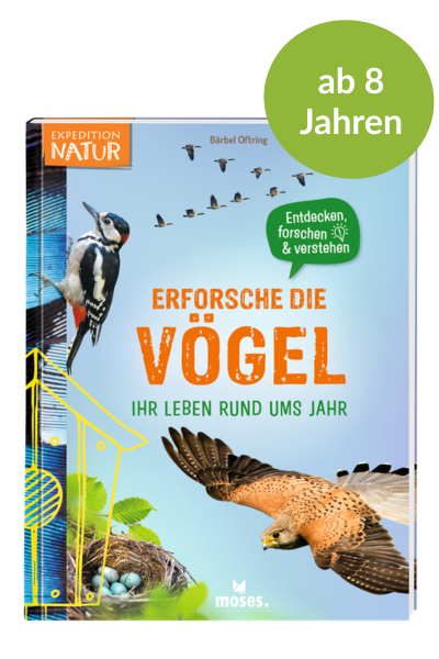 Erforsche die Vögel