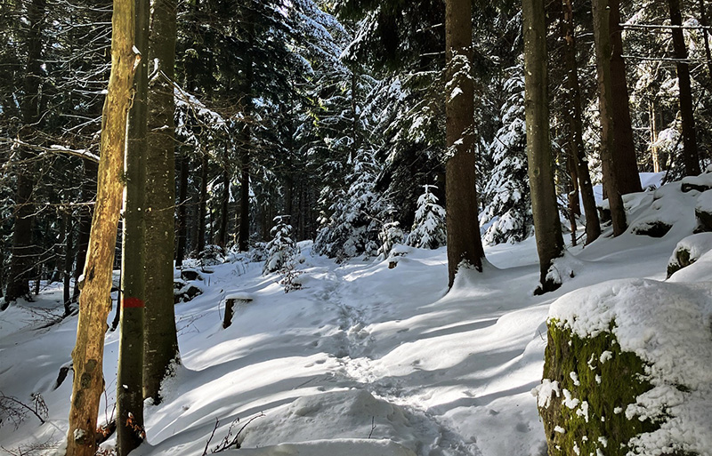 Vase mit Schachbrettmuster und Zweigen mit 4 bemalten Ostereiern