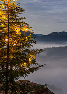 Landscape at sunrise with fog in the valley, view from the Wachtfelsen with illuminated Christmas tree, 