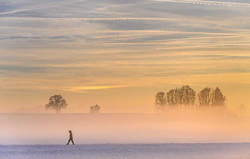 winter landscape at sunset