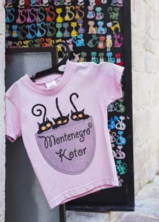 	 Cat t shirt in Kotor