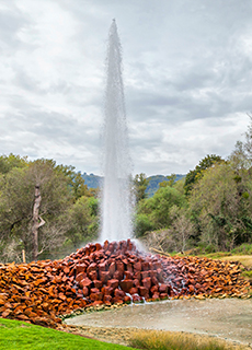 Geysir Andernach