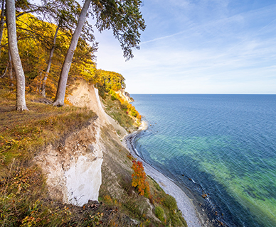 Kreidefelsen auf Rügen