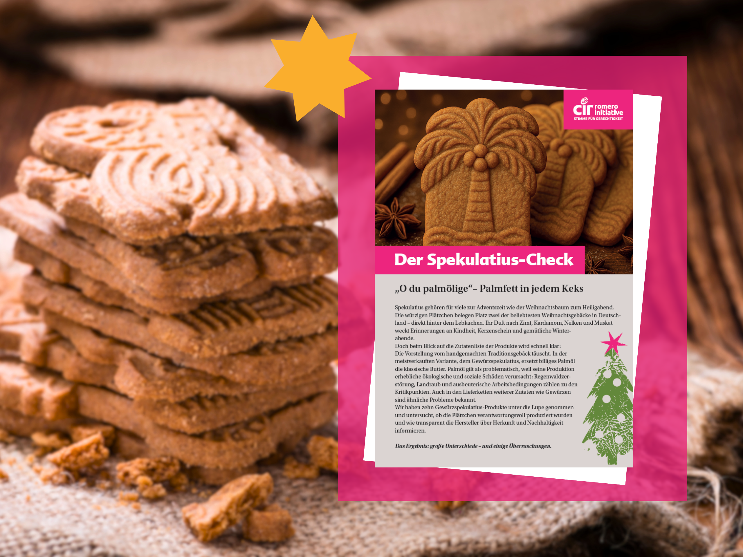 Copyright des Bildes liegt bei: CIR