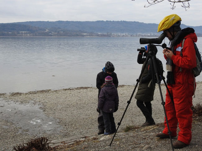 Vogelzählung © Cornelia Mähr