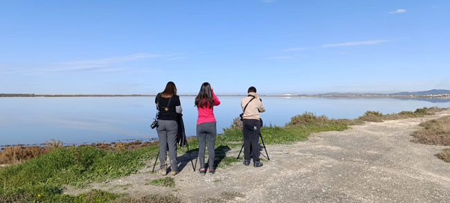 Zählteam © Mirjan Topi