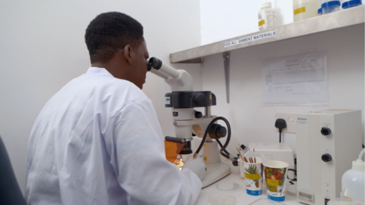 Researcher in a laboratory (Photo: Ifakara Health Institute)