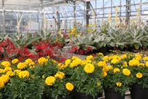 Bundesanstalt für Landwirtschaft und Ernährung