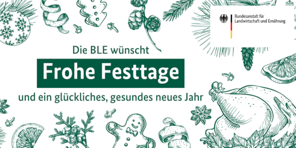 Eine Hand hält einen Rübenkörper, der frisch aus der Erde geholt wurde