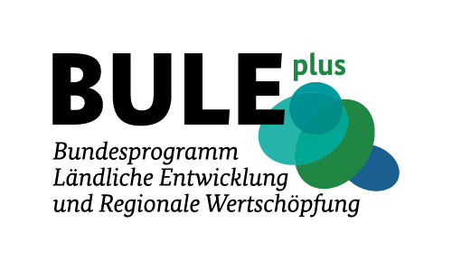 Logo BULEplus