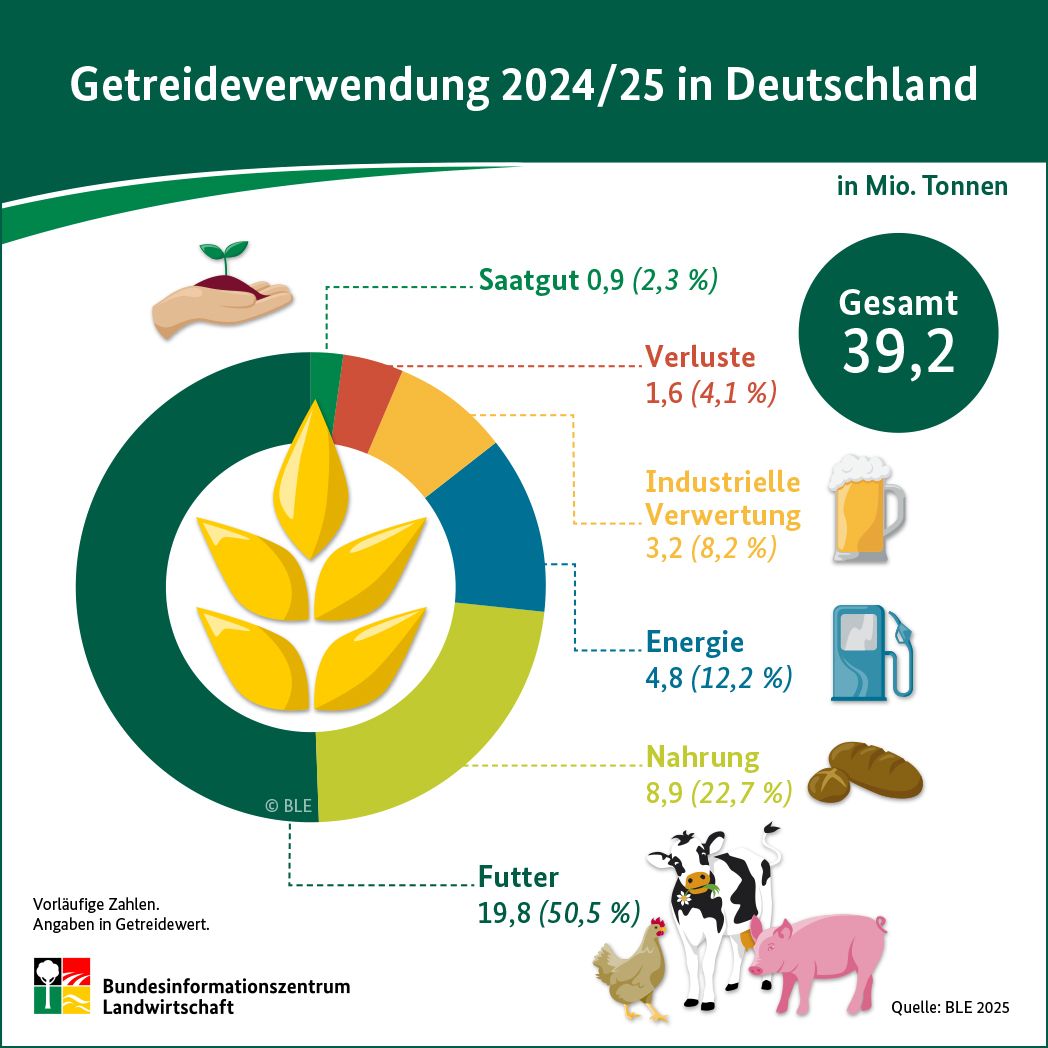 Infografik: Getreideverwendung 2024/25 in Deutschland
