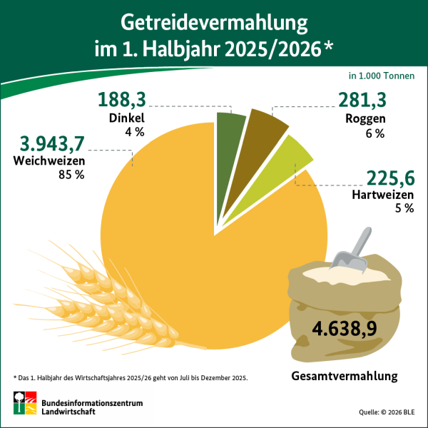 Infografik: Getreidevermahlung 