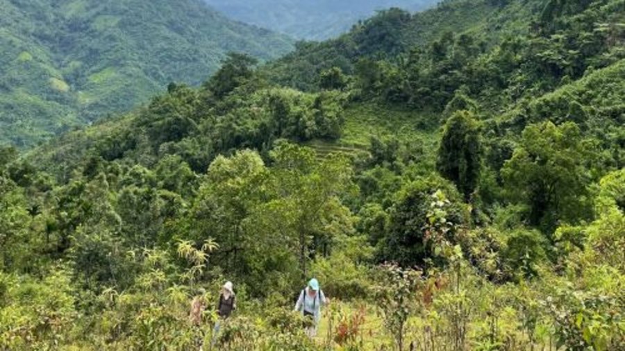 Vietnam, S. Reim/JKI