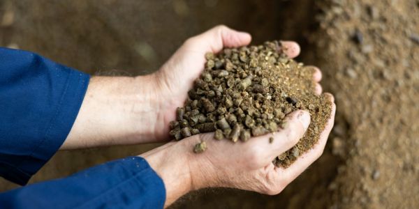 Bild: Futtermittel in der Hand