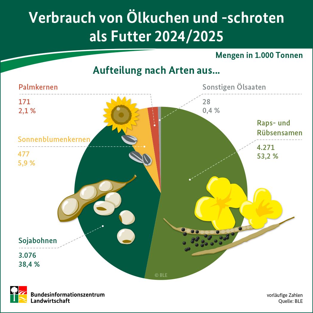 Infografik: verbrauch von Ölkuchen und -schroten als Futter 2024/25
