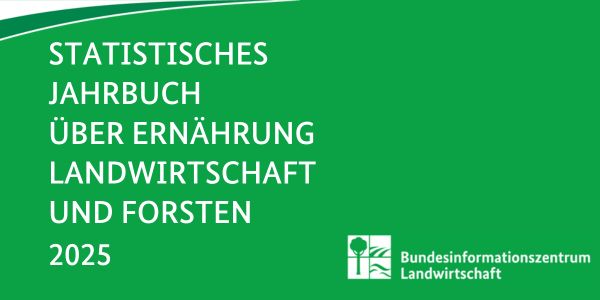 Titelbild des Statistischen Jahrbuchs 2025