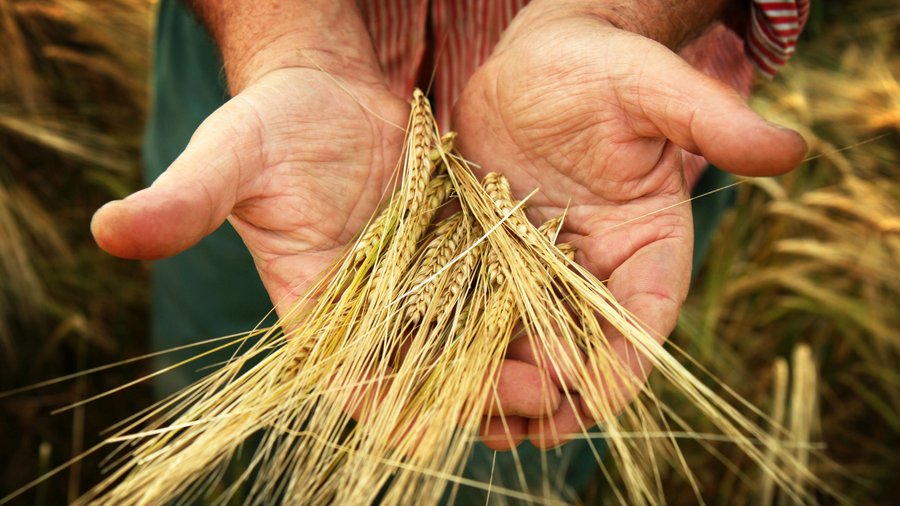 Bundesanstalt für Landwirtschaft und Ernährung