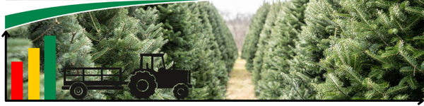Banner: Traktor vor Weihnachtsbaumkultur