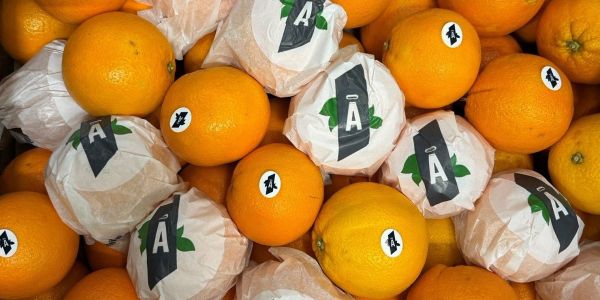 Orangen der Sorte "Große Navel Lane Late" aus Alicante