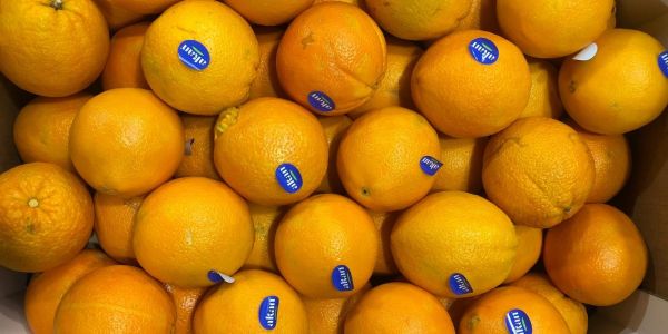 Valencianische Navelina`s im 18-kg-Karton in Hamburg