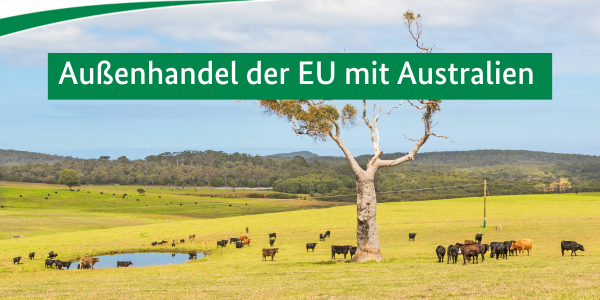 Rinder auf einer Weide in Australien. Im Vordergrund steht in weißer Schrift auf grünem Hintergrund: Außenhandel der EU mit Australien