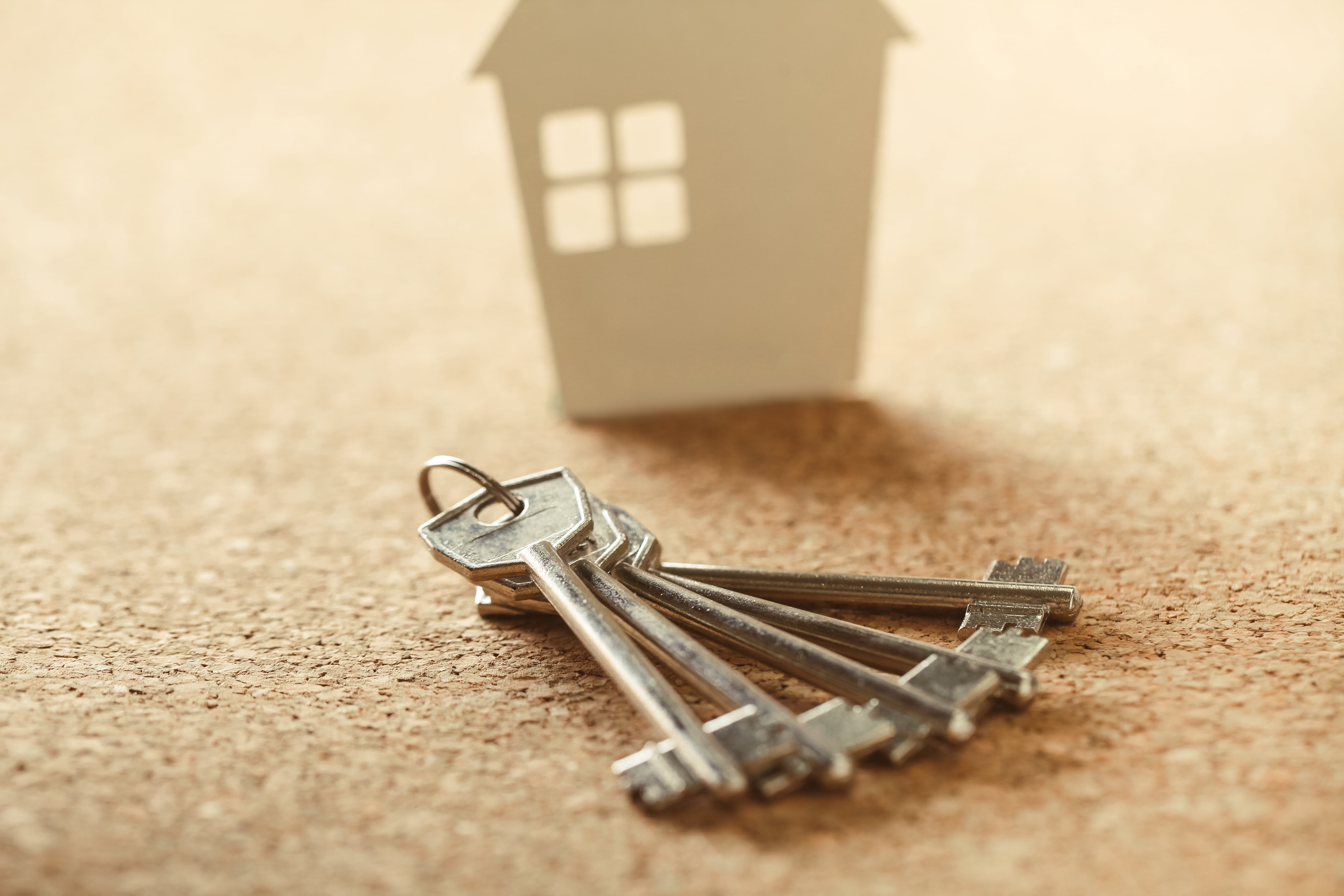 img-rentier-immobilier
