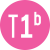 Ligne T1b