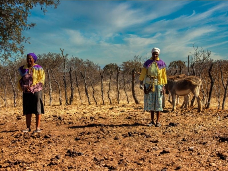 La Namibie déclare l'état d'urgence en raison de la sécheresse