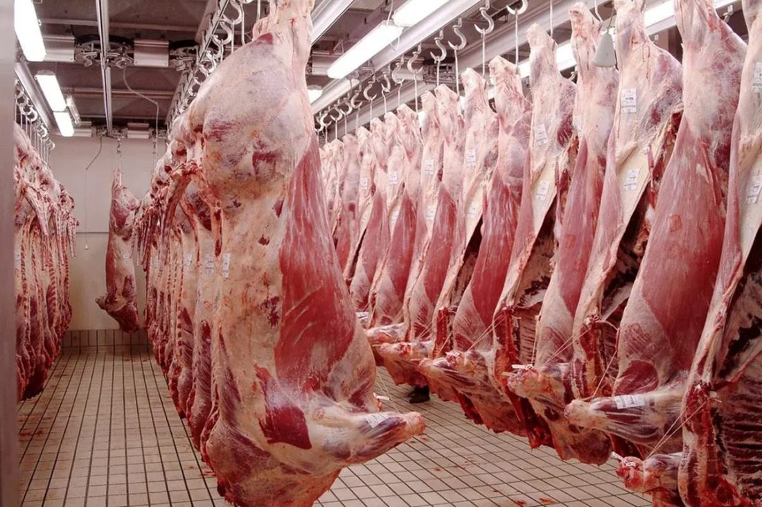 Casablanca : les abattoirs continueront de fonctionner normalement pendant Aïd al-Adha