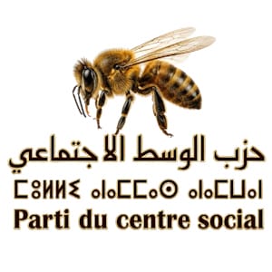 حزب الوسط الاجتماعي