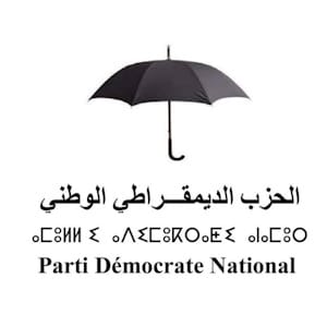 الحزب الديمقراطي الوطني