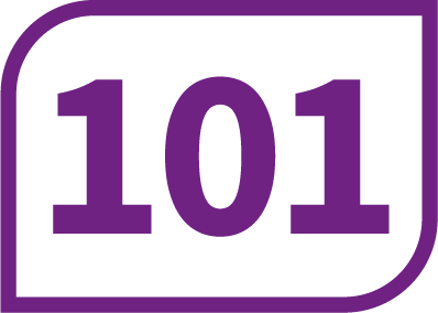 101