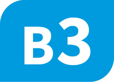 B3