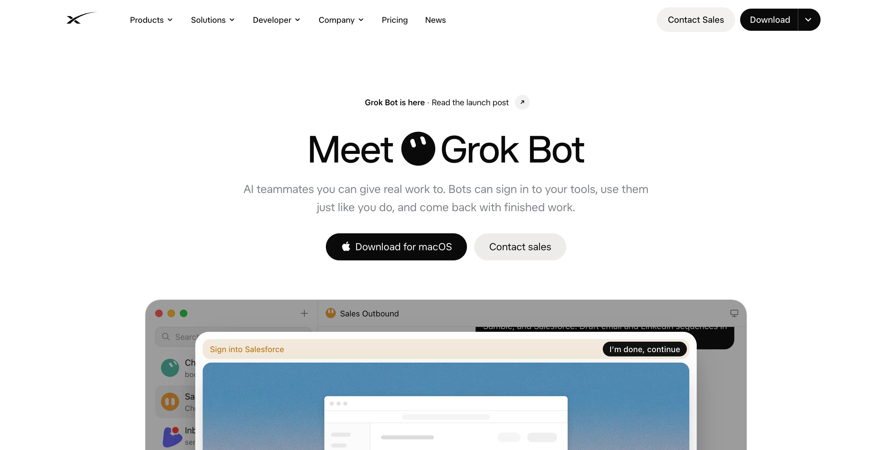 Screenshot of Grok Bot website
