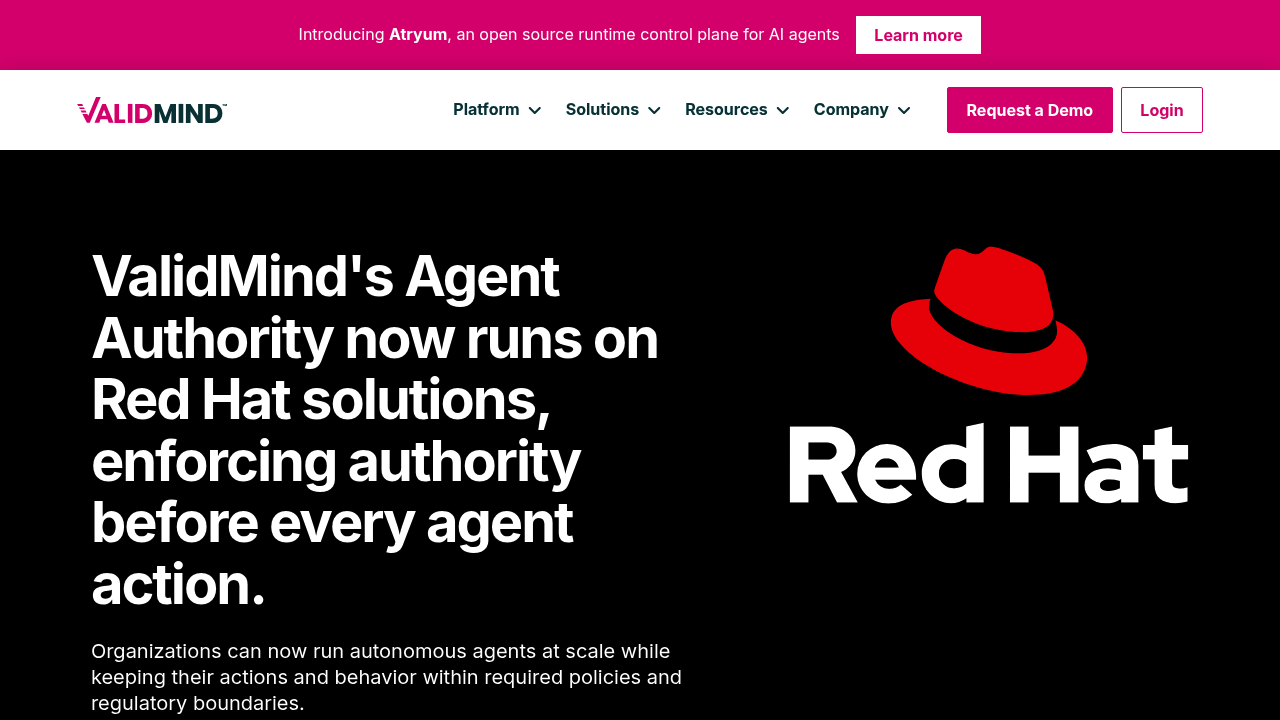 Screenshot of ValidMind website