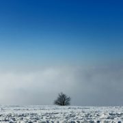 schneelandschaft Fotografie einer Schneelandschaft