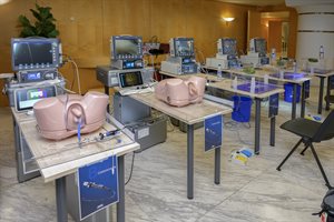 11-06-26_0074.JPG
