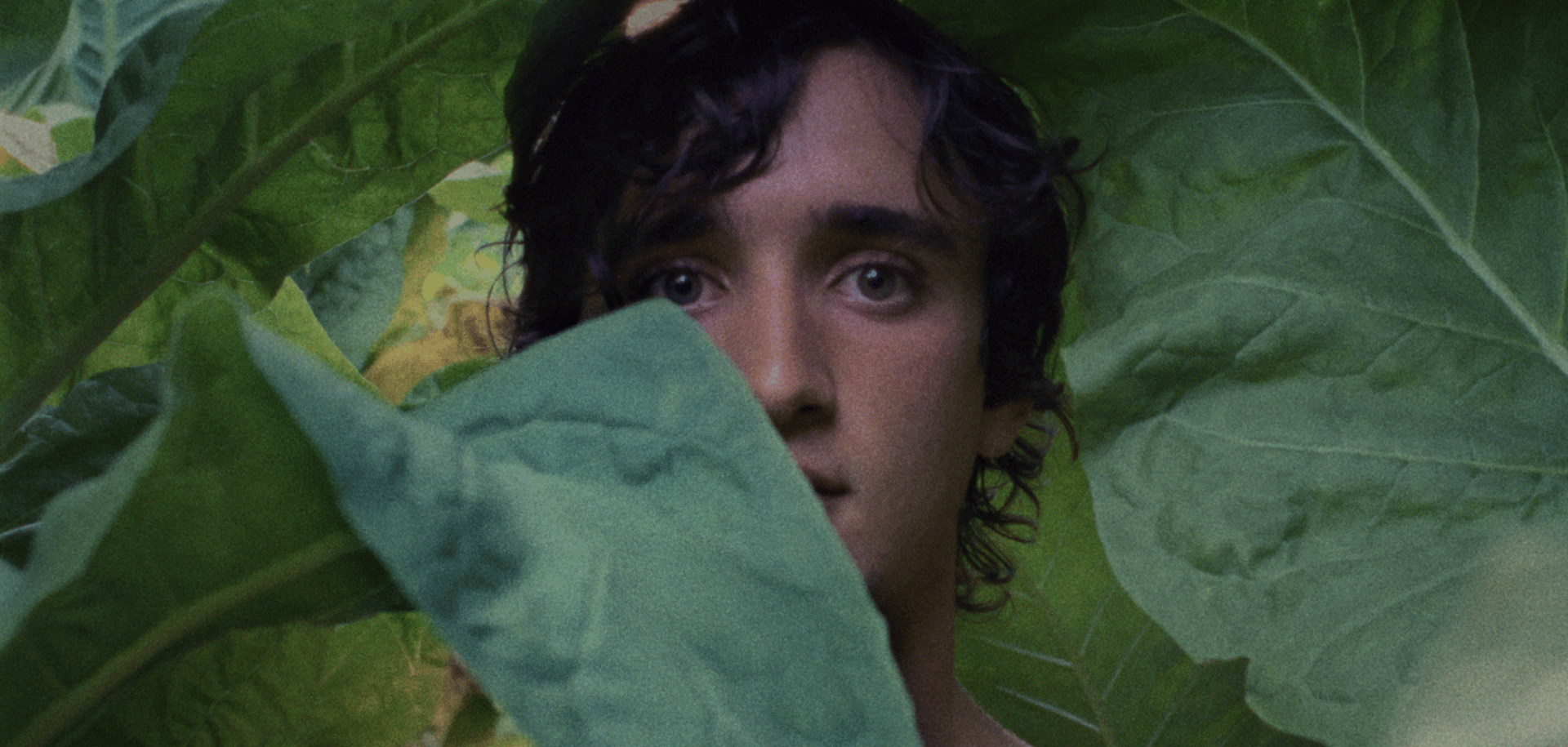 Italian Film Club: Happy as Lazzaro | Nerve Cinema